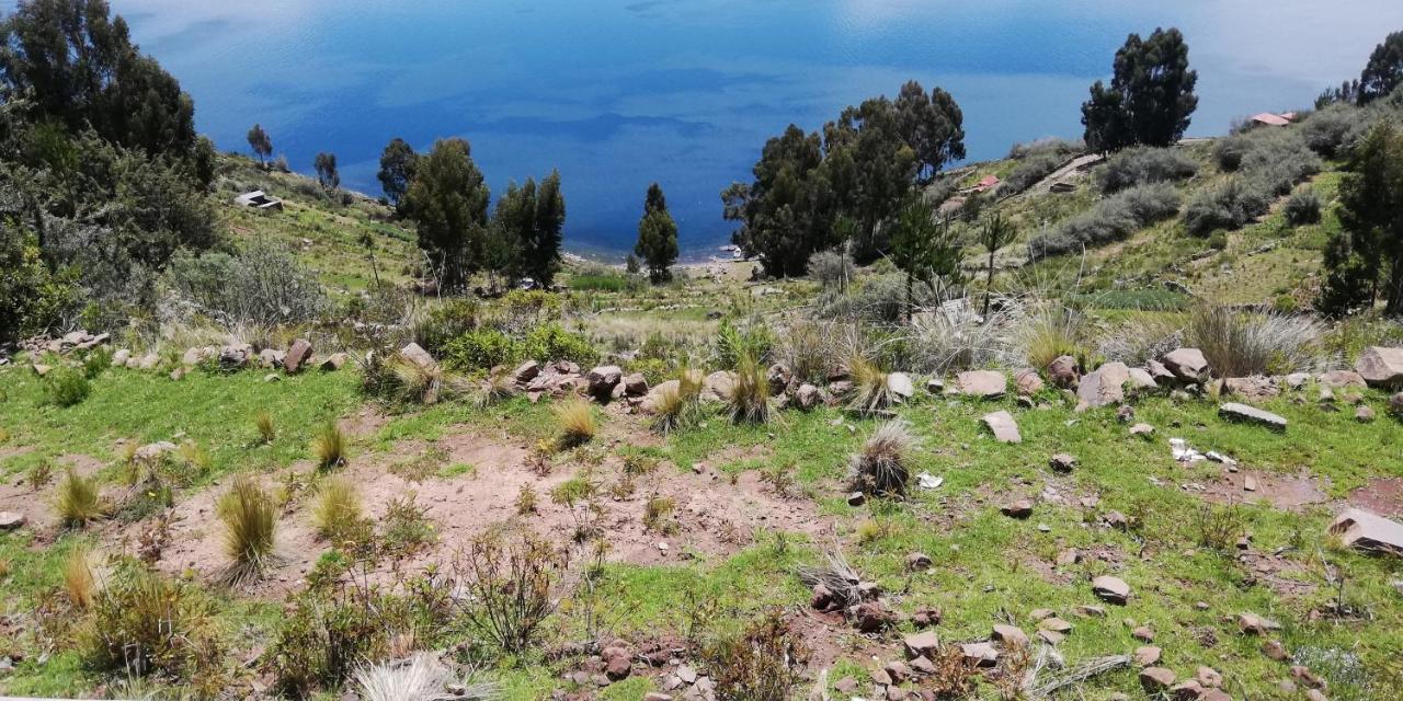 Taquile Hospedaje Mario Huillanopampa Екстер'єр фото