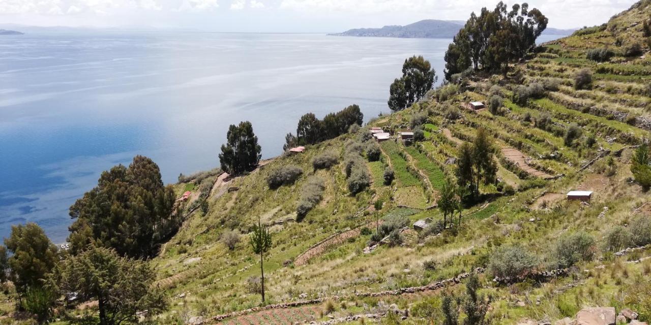 Taquile Hospedaje Mario Huillanopampa Екстер'єр фото