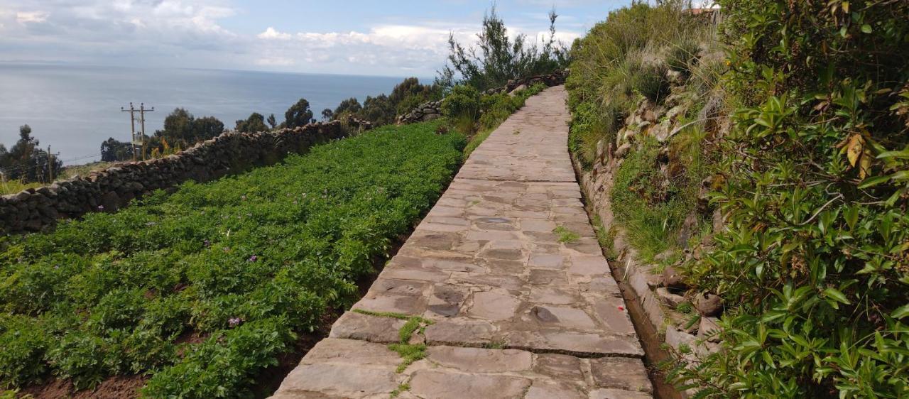 Taquile Hospedaje Mario Huillanopampa Екстер'єр фото