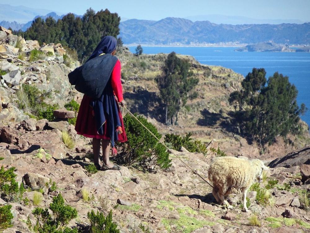 Taquile Hospedaje Mario Huillanopampa Екстер'єр фото